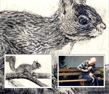 Paul Smith's Squirrel