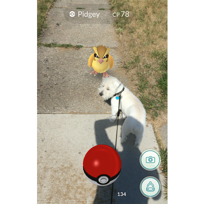 pokemon go